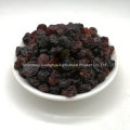 Pure Natural Color Raisin Cheap Price for Export